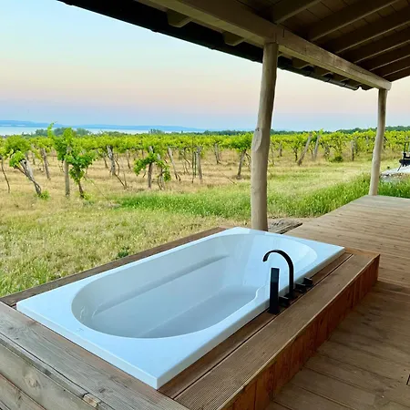 Ermenes 2 - The Vineyard Retreat With Panoramic Views On Balaton Holiday home