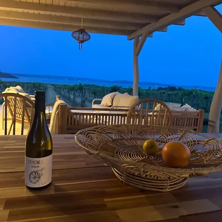 Ermenes 2 - The Vineyard Retreat With Panoramic Views On Balaton Holiday home Orvenyes