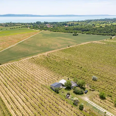 Ermenes 2 - The Vineyard Retreat With Panoramic Views On Balaton Дом отдыха