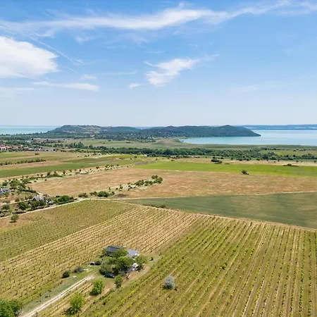 Holiday home Ermenes 2 - The Vineyard Retreat With Panoramic Views On Balaton *