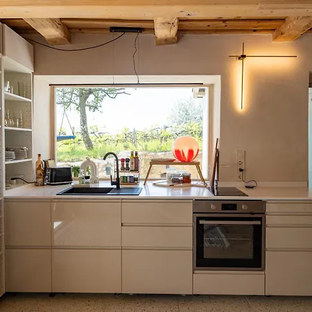 Ermenes 2 - The Vineyard Retreat With Panoramic Views On Balaton Holiday home Orvenyes