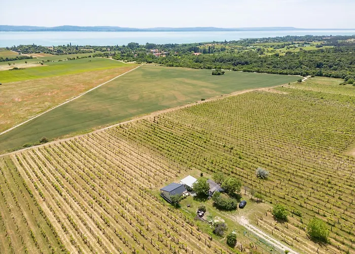 Ermenes 2 - The Vineyard Retreat With Panoramic Views On Balaton בית נופש