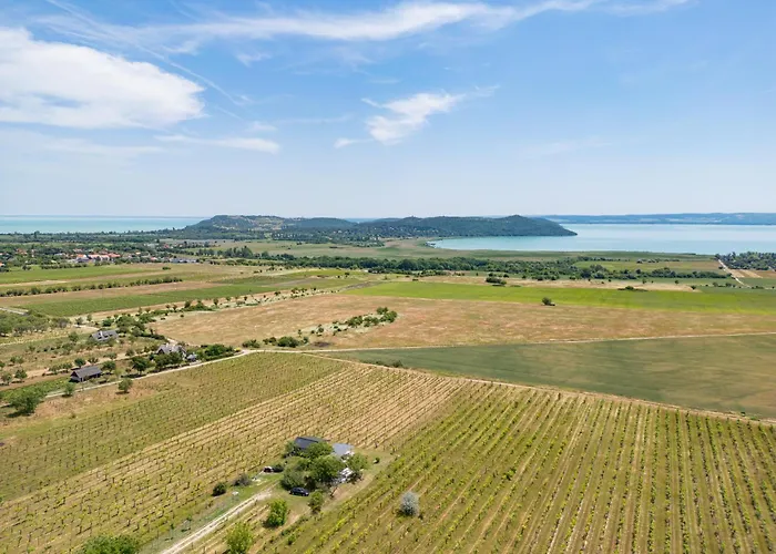 בית נופש Ermenes 2 - The Vineyard Retreat With Panoramic Views On Balaton *